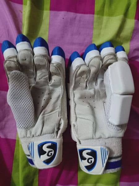 Cricket gloves 2