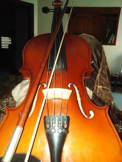 imported and professional violin
