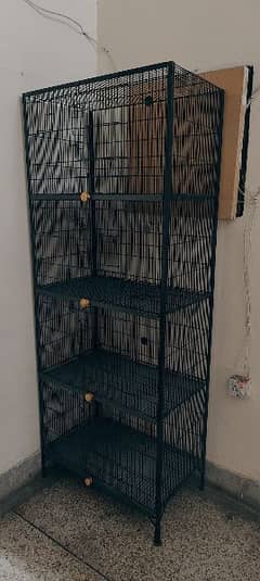 Hen birds cage for sale