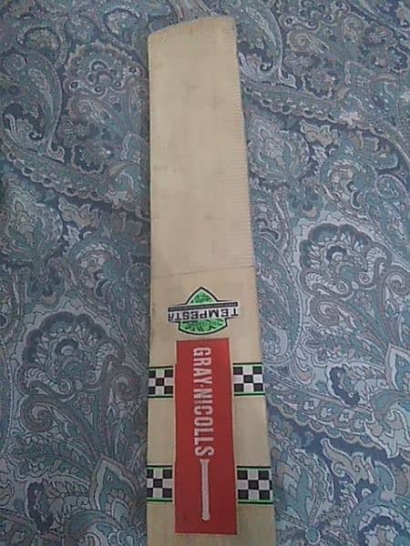 Cricket hardball bat 3