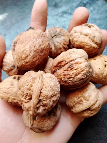 Desi Akhrot (Walnuts) (Balakot) 1
