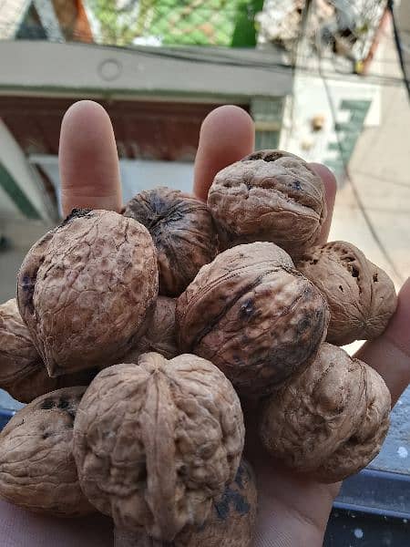 Desi Akhrot (Walnuts) (Balakot) 5