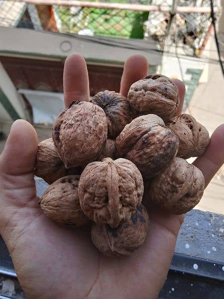 Desi Akhrot (Walnuts) (Balakot) 6