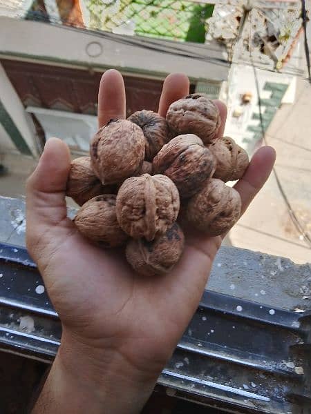 Desi Akhrot (Walnuts) (Balakot) 7