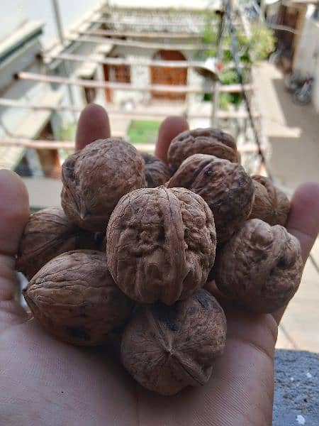Desi Akhrot (Walnuts) (Balakot) 8
