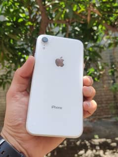 0304/540/35/44 call or whatsapp iphone XR waterpack non pta 64gb
