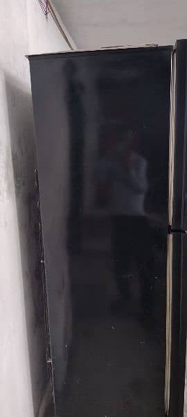 PEL full size refrigerator glass door 2