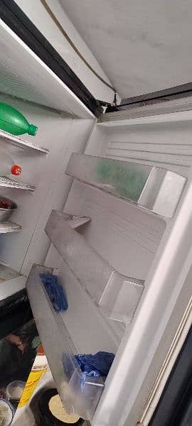PEL full size refrigerator glass door 3