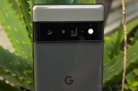 Google pixel 6pro 12 + 256 4 month sim active