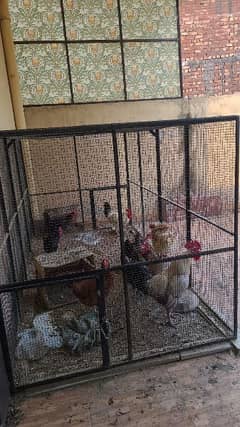hen cage only