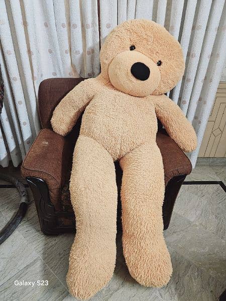 6 feet giant teddy 0