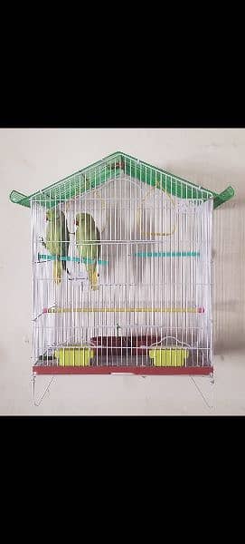 Sarib Cage series Jumbo size best for parrots 1