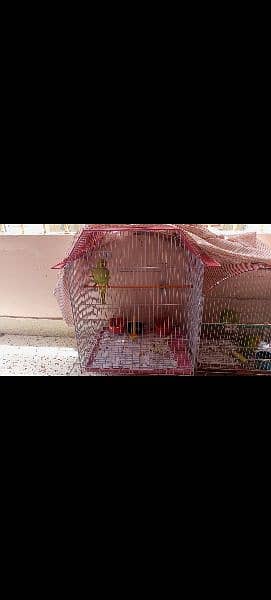 Sarib Cage series Jumbo size best for parrots 2