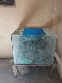 glass fish house strong glass good quality
