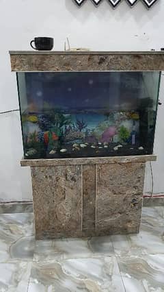 12mm glass  with lights and  all accessories  aquarium