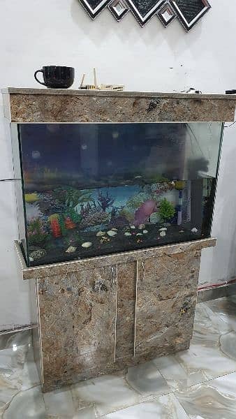 12mm glass  with lights and  all accessories  aquarium 1