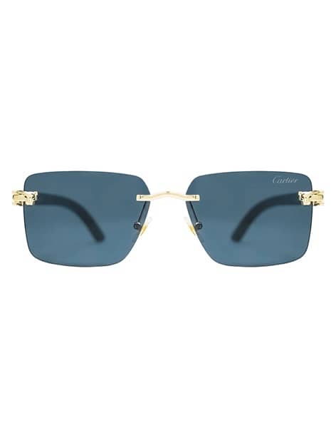 sunglasses of carlier 1