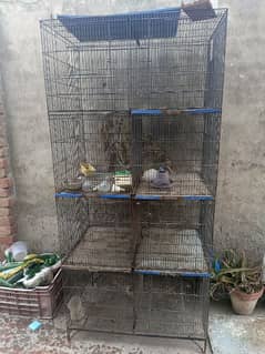 hen cage 3 months used only