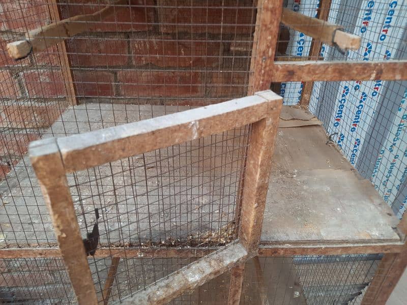 4 piece cage for urgent sale contact whatsapp:03009400759 3