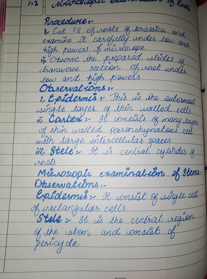 Handwritten assignment work 7