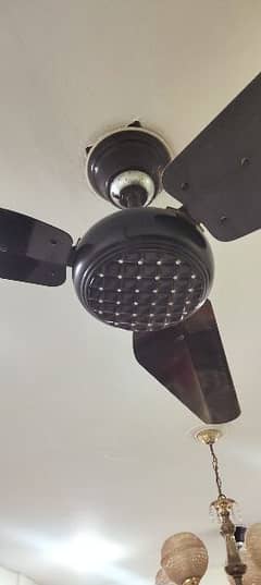 used fans available