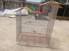 cage/pinjra/tokra/khuda/chicks /aseel/parrot /bird/ 0