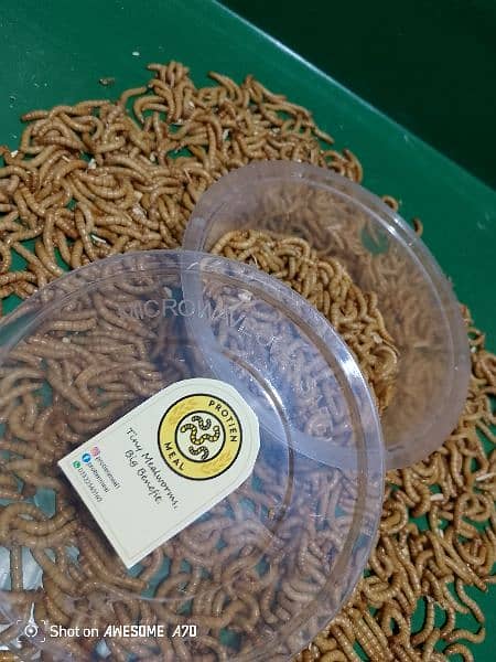 50 gm or live Mealworms for your pets (dry also available) 2