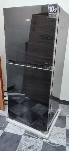 Haier Refrigerator (HRF-368EPB) E-Star