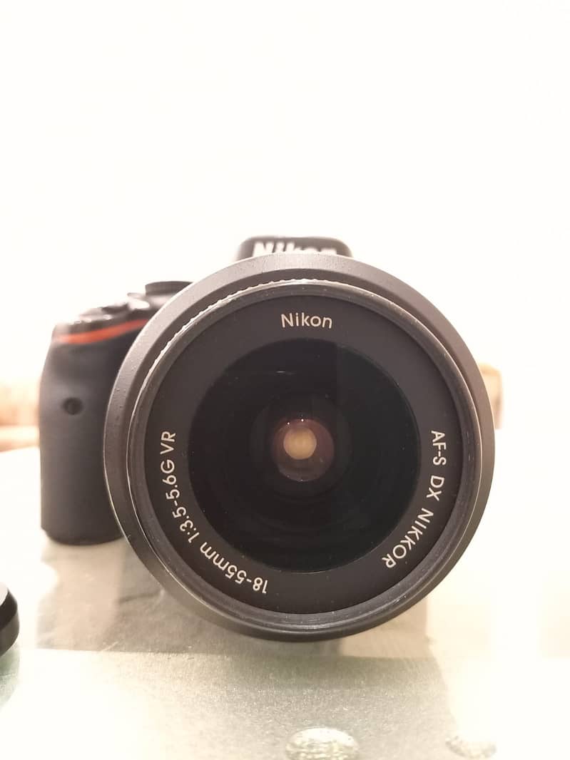 Nikon D5100 with 18/55 mm lens 7