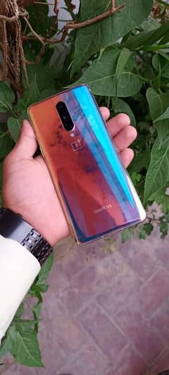 one plus 8 global 10/10 condition