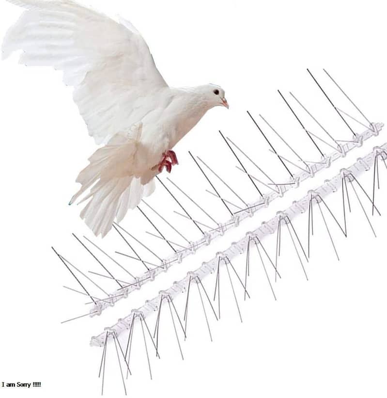 Bird Repeller and Anti Pigeon Spike to Get Rid of Unwanted Birds 7