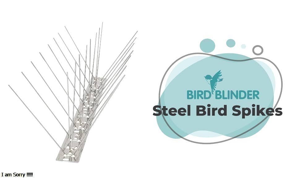 Bird Repeller and Anti Pigeon Spike to Get Rid of Unwanted Birds 9