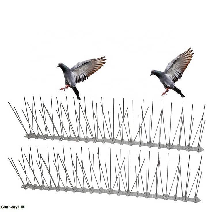 Bird Repeller and Anti Pigeon Spike to Get Rid of Unwanted Birds 12