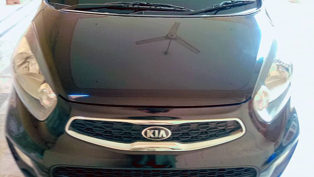 Brand New Kia PIcanto for Sale 0