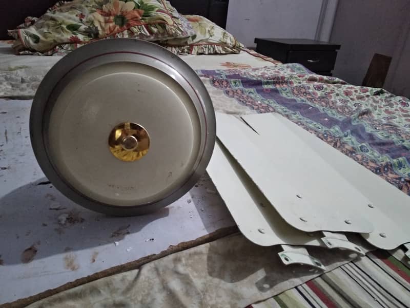 Ac 56 inches celling fan 1