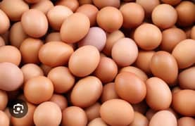 black bantam eggs