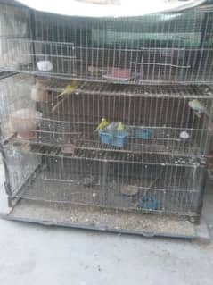love Birds Cages / Folding cage