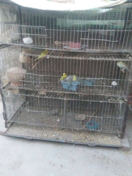 love Birds Cages / Folding cage 0