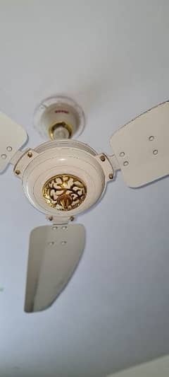 1 fancy Royal fan and 2 seven star fans in working condition for sale