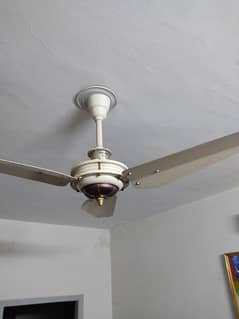 Lahore ceiling Fans total 4