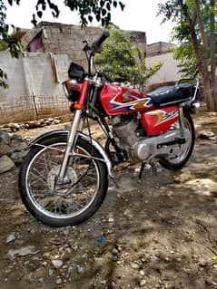 Honda 125   20/21 model  (03115278866)