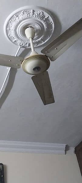Fans good in condition 1