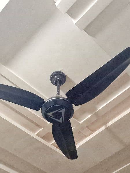 3 Fans 6 Month Use For Sale, 3 Ceiling Fan, 3 Pankhy, 0