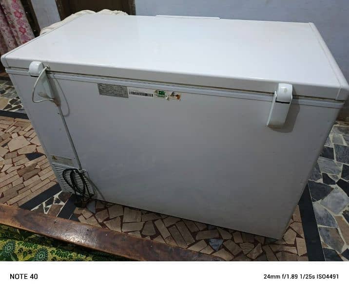 haier singal door freezer for sale 6