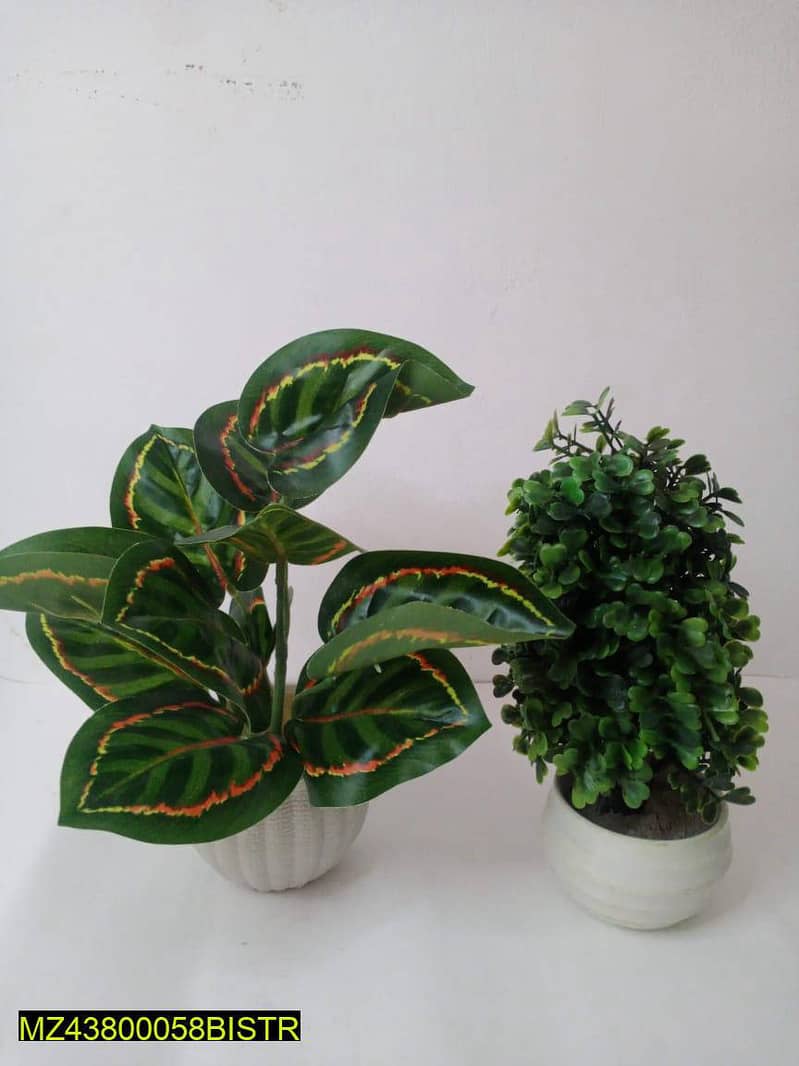 Artificial plants for sale in Pakistan. And only home delivery availab 2
