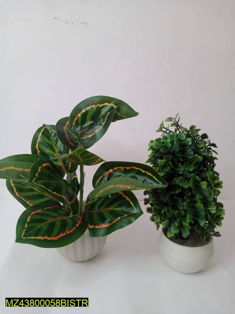Artificial plants for sale in Pakistan. And only home delivery availab 4