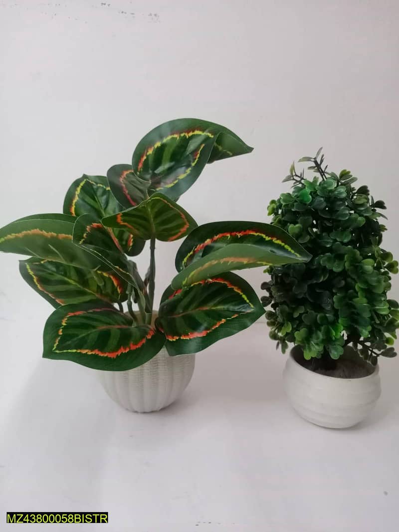 Artificial plants for sale in Pakistan. And only home delivery availab 5