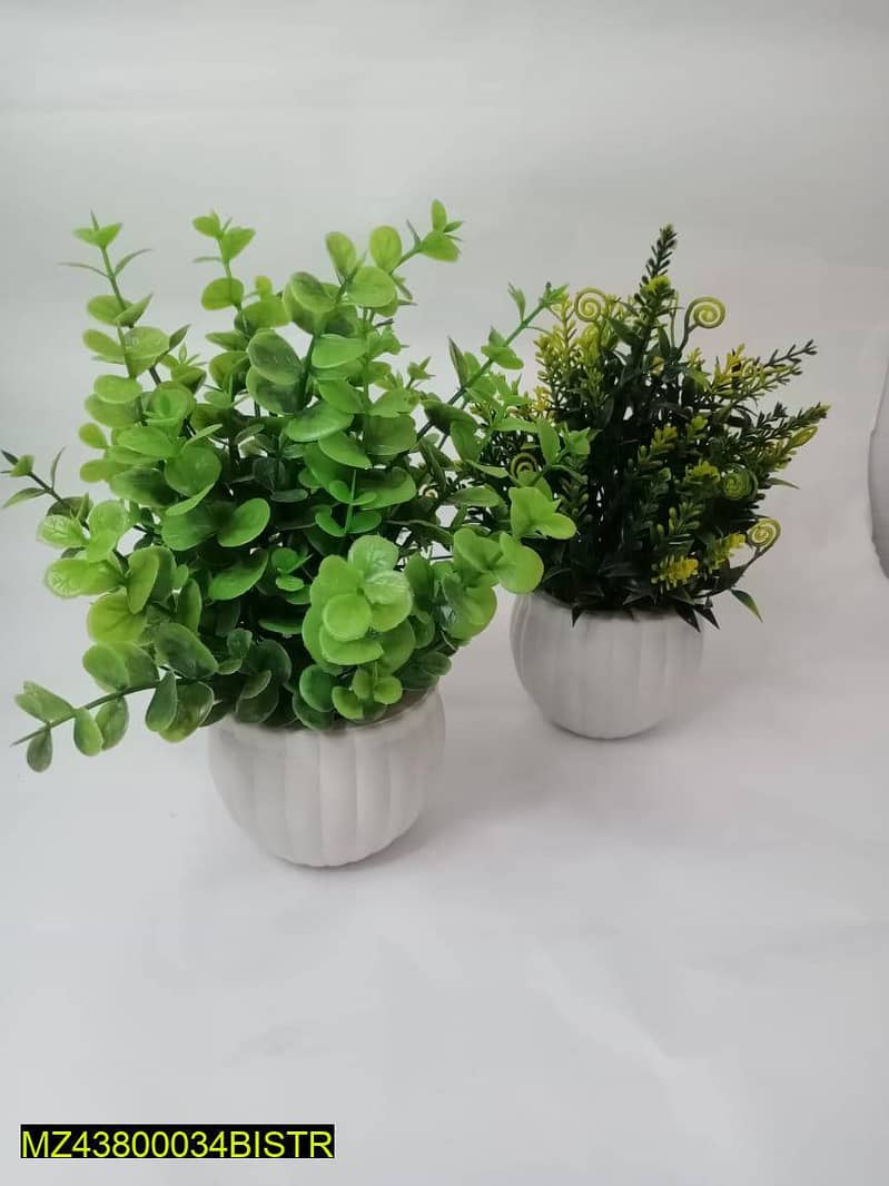 Artificial plants for sale in Pakistan. And only home delivery availab 14
