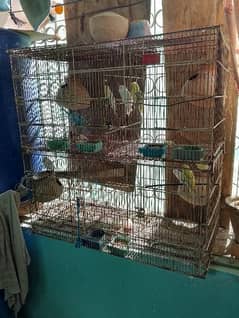 9 parrots with cage 4 portion