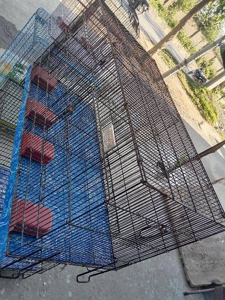 folding cages 1